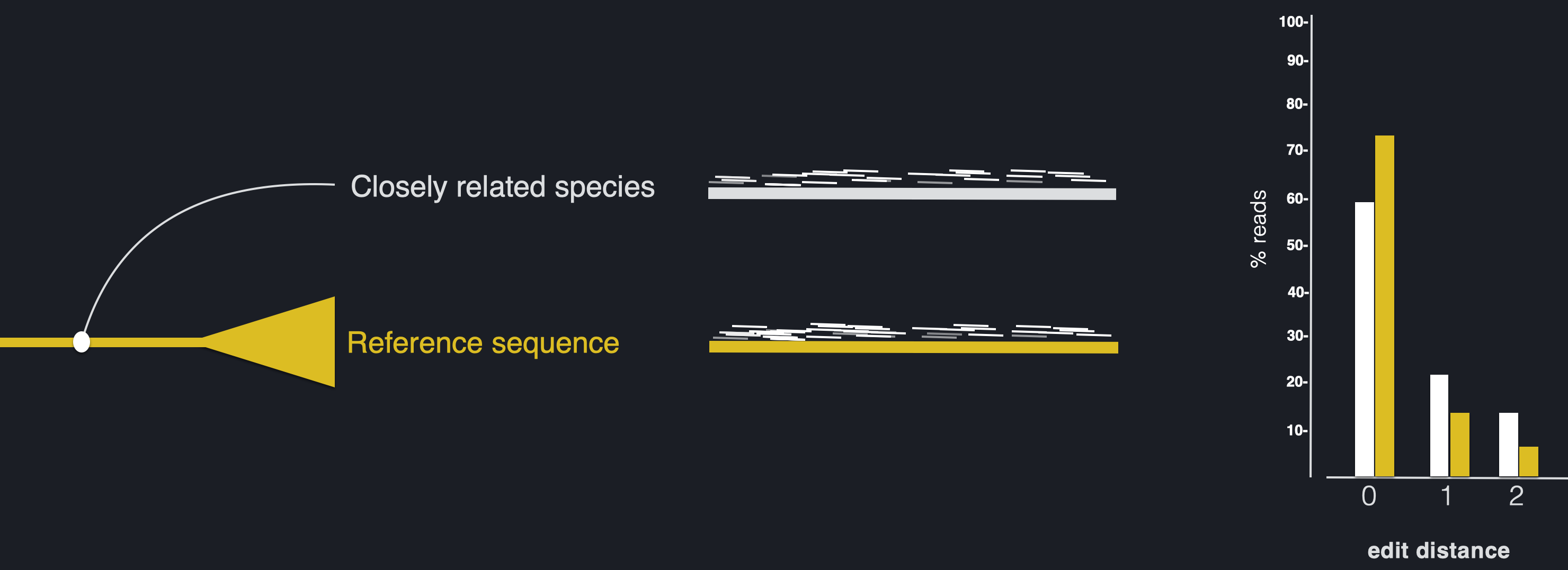 _images/EditDistance.png